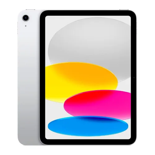 iPad 256 ГБ